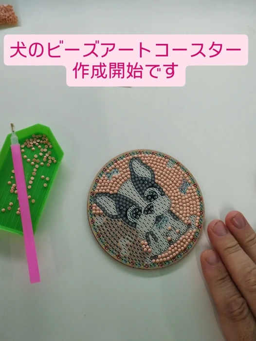 画像247