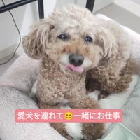 画像329