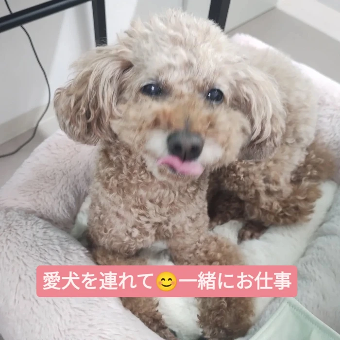 画像329