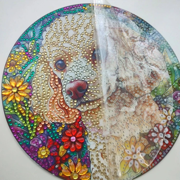 画像342